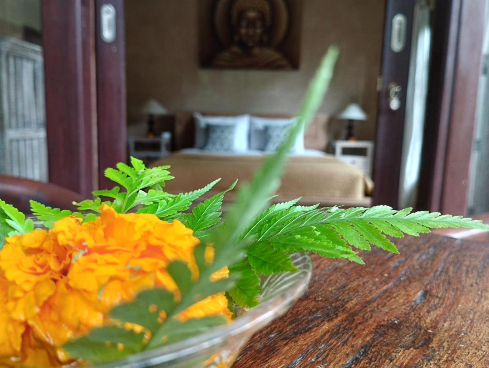 Umah Ubud Guest House Kültér fotó