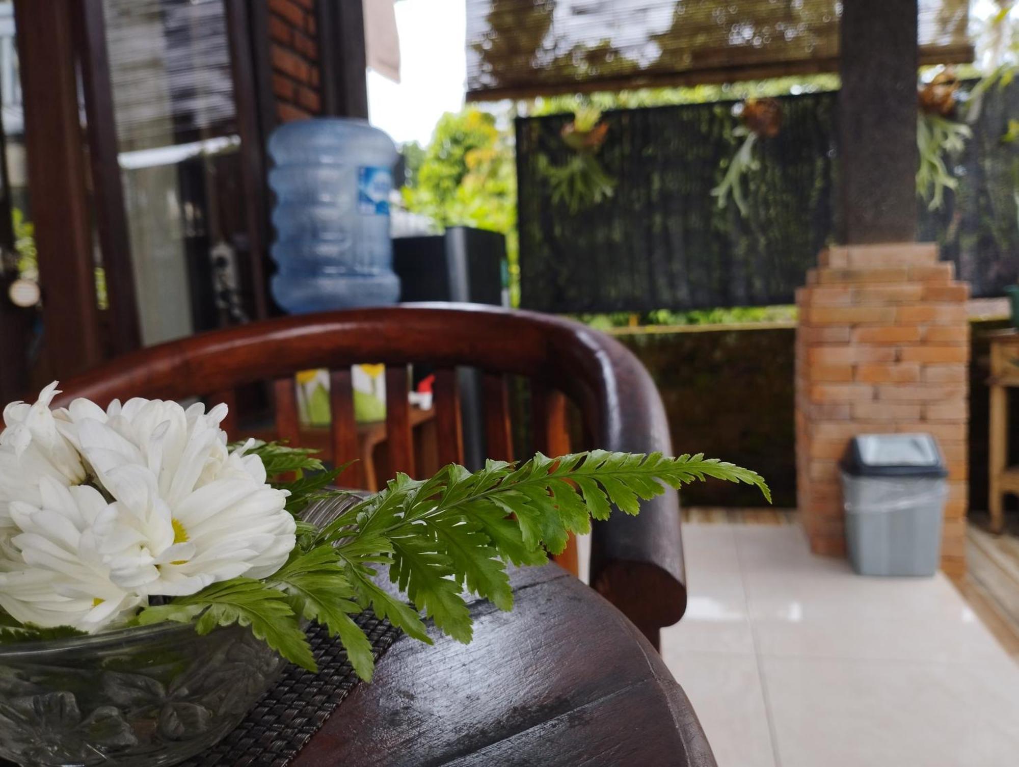 Umah Ubud Guest House Kültér fotó